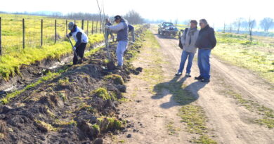 Reforestación en el río Salto