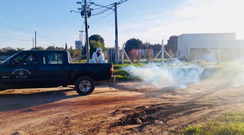 Se están realizando trabajos de fumigación en zona costanera y barrios aledaños