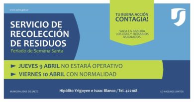 Cronograma Recolección de Residuos.
