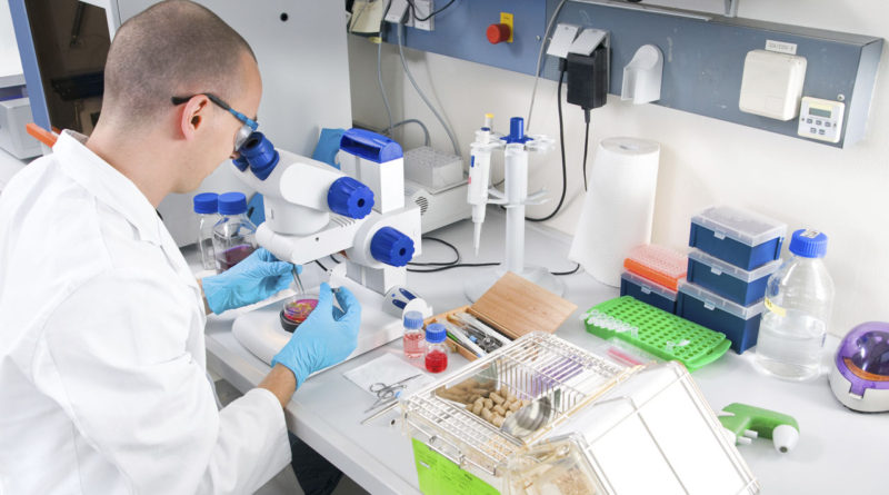 Desde el Maiztegui llegó la mejor noticia para Salto