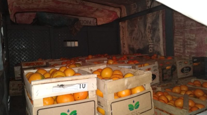 Operativo Covid-19: Retención y decomiso