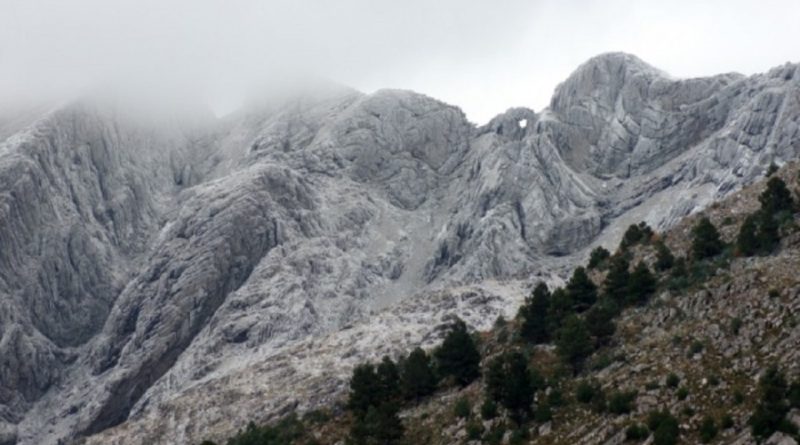 Regalo de cuarentena: llegó la nieve a las sierras bonaerenses