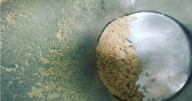 Proteinas vegetales, el ingrediente de los nuevos alimentos