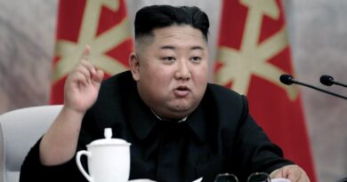 Denuncian que Corea del Norte intentó hackear a Pfizer para obtener datos de su vacuna