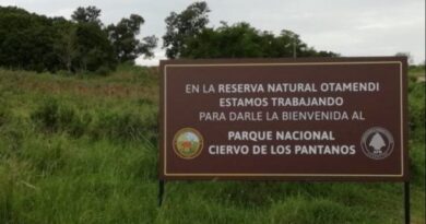 Crearán nuevos Parques Nacionales