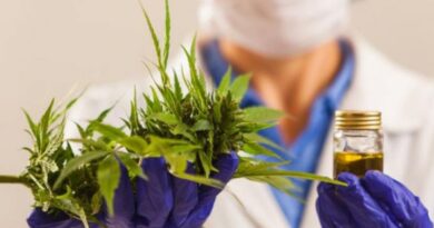 General Lamadrid es el primero municipio autorizado a cultivar cannabis medicinal