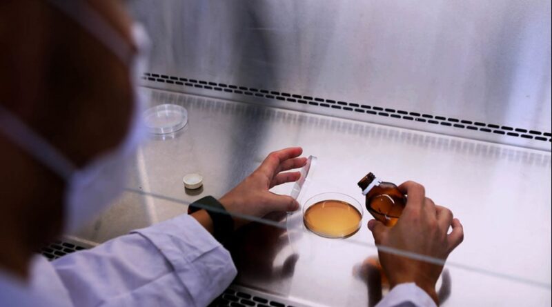 UNLP: Transforman residuos de soja en productos de valor nutricional