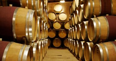 Recorrida por bodegas bonaerenses