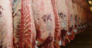 Cómo serán los anuncios del Gobierno con respecto a la carne