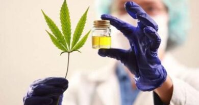 El municipio de Lobos en vías de legalizar el cannabis para uso medicinal