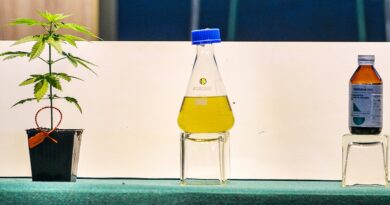 Avanza en el Senado el proyecto sobre cannabis medicinal