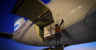 Llegan desde China y Rusia vacunas que se sumarán a las 28 millones de dosis recibidas por el país