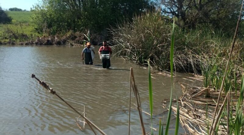 El INTA junto a universidades desarrollarán un inventario de agroquímicos
