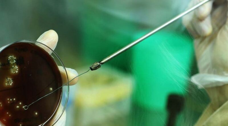 La UNLP participa en el desarrollo de la nueva vacuna SPINETTA-VAC