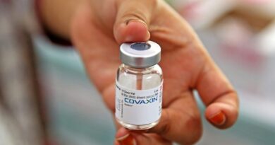 Covid-19: la OMS aprobó el uso de emergencia de la vacuna Covaxin