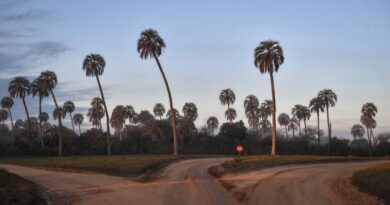 El programa PreViaje quintuplicó lo facturado en la primera edición