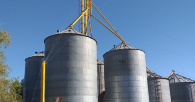 Decomisan 1.637 toneladas de cereales comercializados ilegalmente