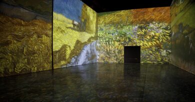 Todo lo que hay que saber para ir a la muestra inmersiva de Van Gogh