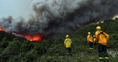 Persisten los incendios forestales en Corrientes, Río Negro, Misiones, Chubut y Formosa