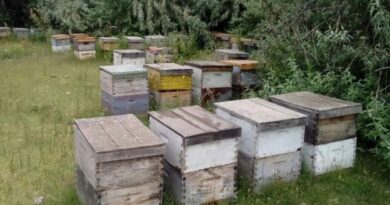 Apicultor ganó el Encuentro Nacional de Criadores de Abejas Reinas