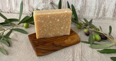 Promueven en tres distritos bonaerenses la cosmética a base de cerveza, olivo y fango