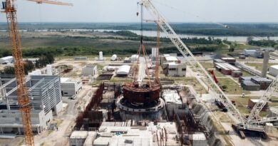 Argentina desarrolla su primer reactor nuclear de potencia diseñado y construido en el país