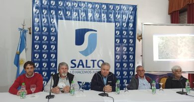 Más y mejor energía eléctrica para Gahan