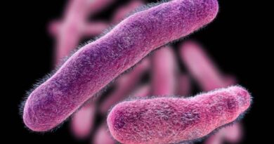 ¿Brote de shigella y salmonella?: qué dice la provincia de Buenos Aires