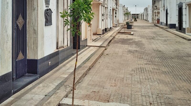 El Municipio realiza trabajos de embellecimiento en el Cementerio
